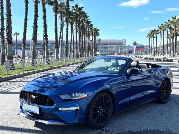 Ford Mustang Синий 2019